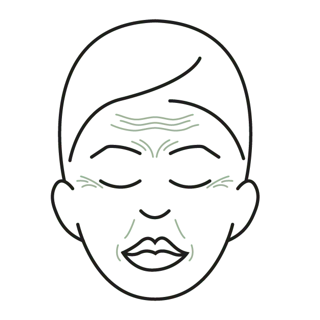 Outline of face with lines representing wrinkles